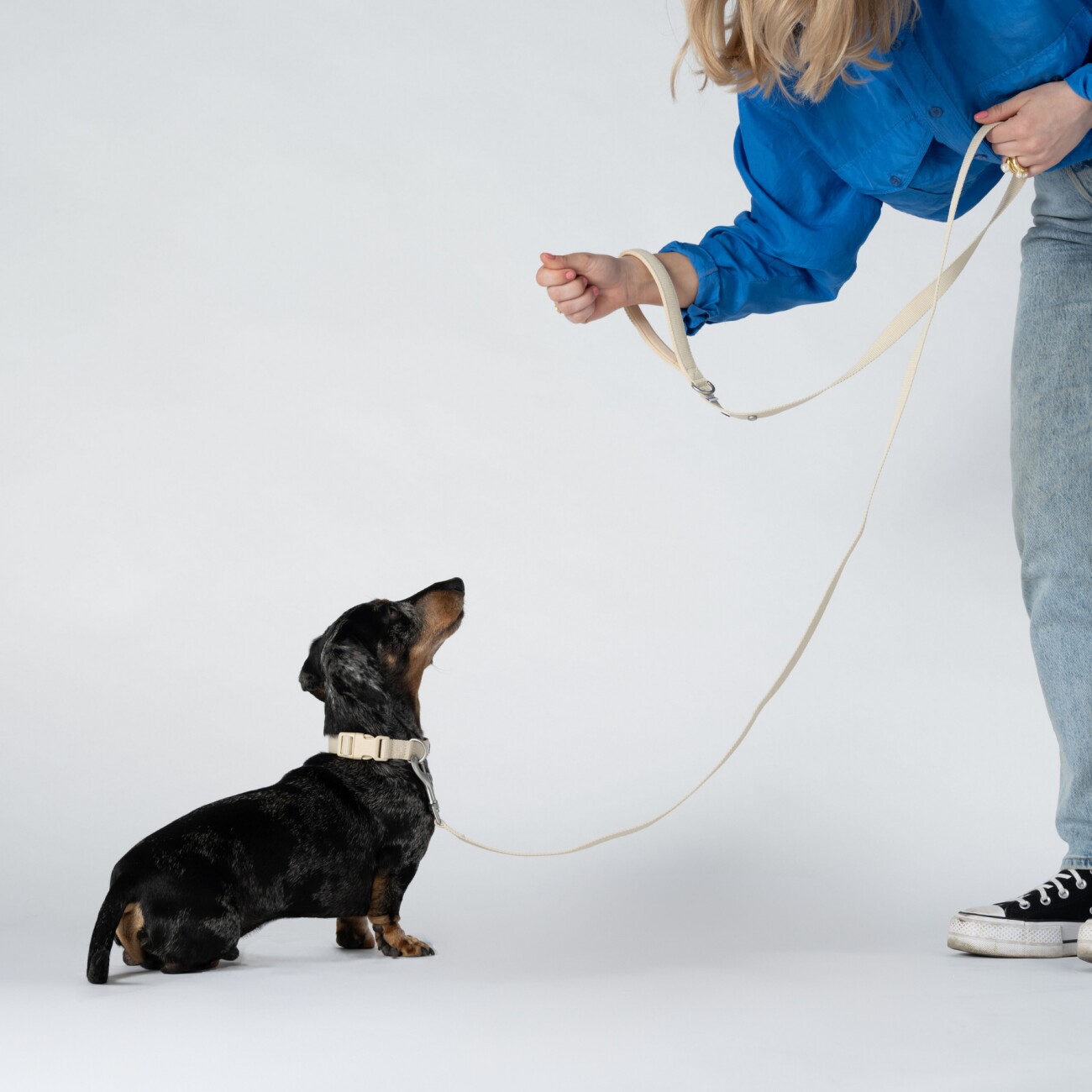 Barkalot Hundehalsband-Auslaufset beige S