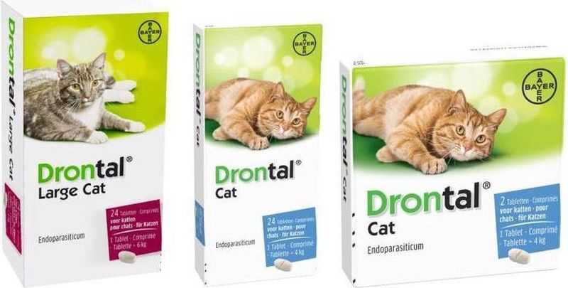 Drontal - Large Cat - Ontwormingsmiddel - 24 Tabletten