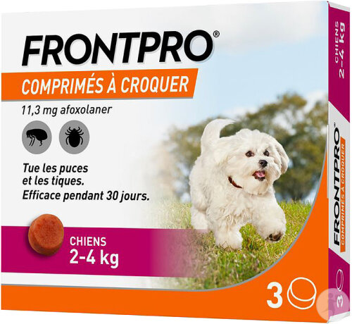 Boehring Frontpro 11,3mg Contre Puces Et Tiques Chiens Taille S 2-4kg 3 Comprimés À Croquer