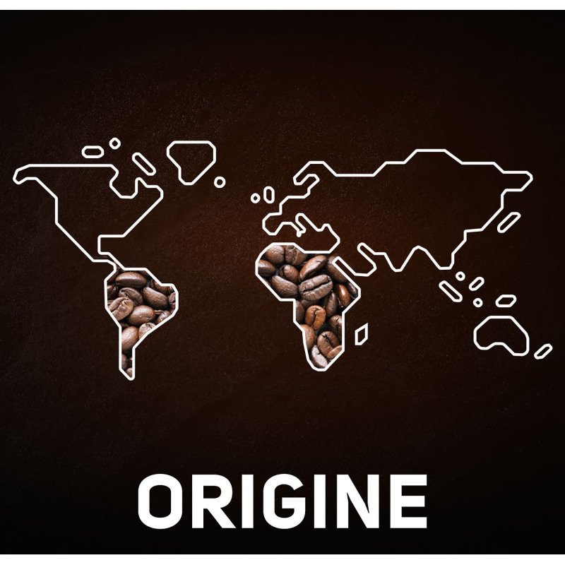 Dosettes de Café Carte Noire Classique N° 5 - Paquet de 36