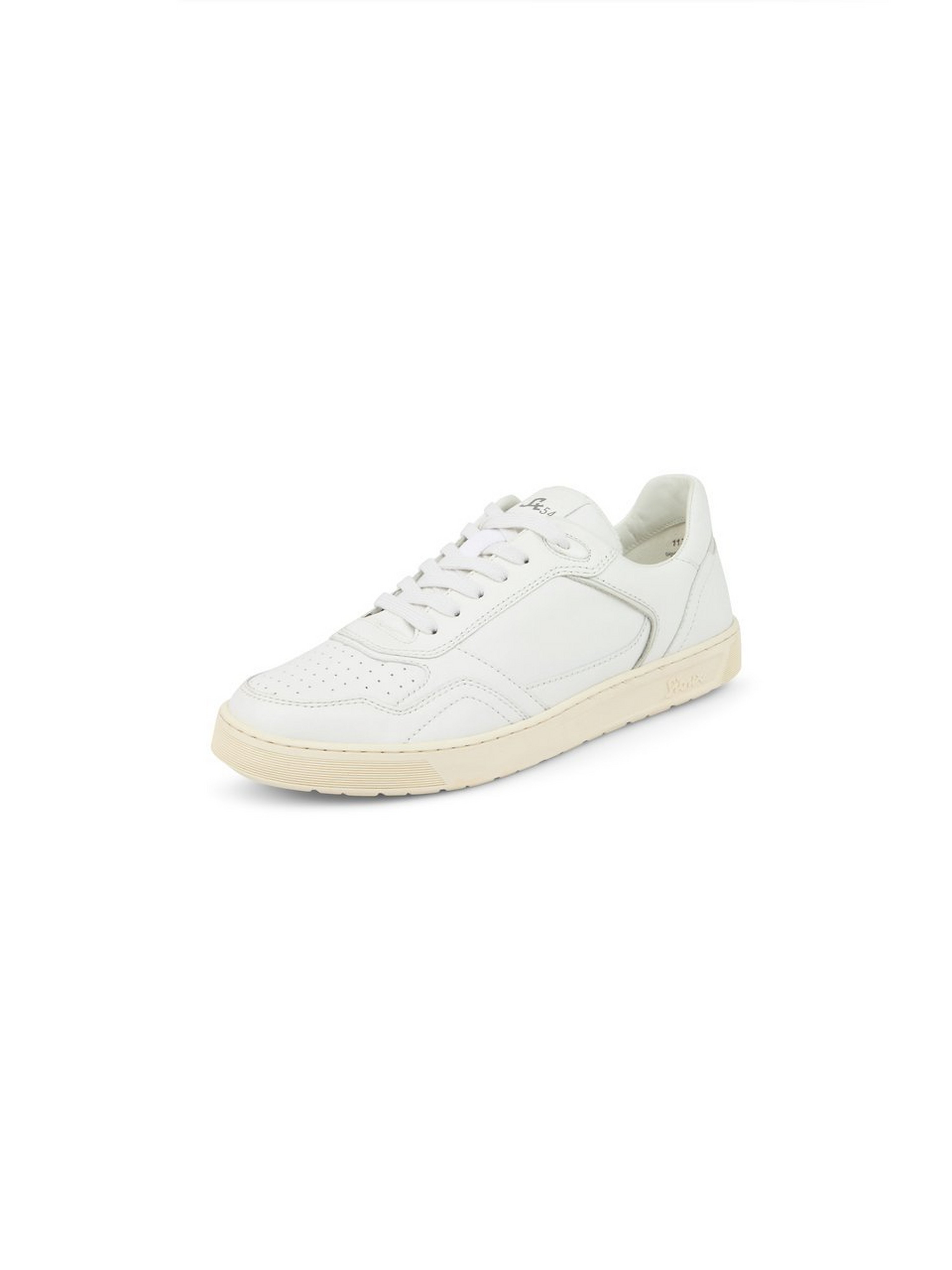 Sneaker Tedroso 704