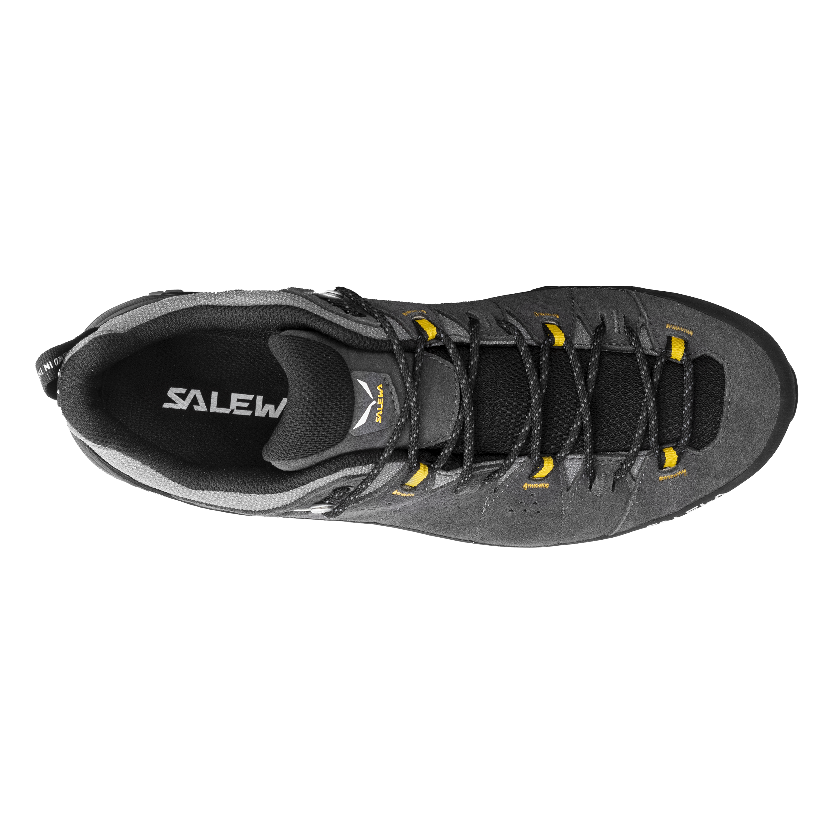 Alp Trainer 2 Gore-Tex® Schuh Herren