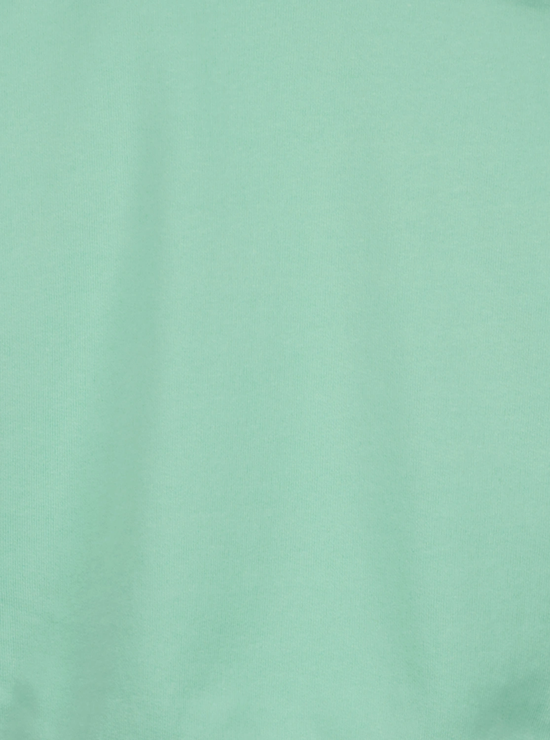Sweatshirt BASIC UNI in electric mint
