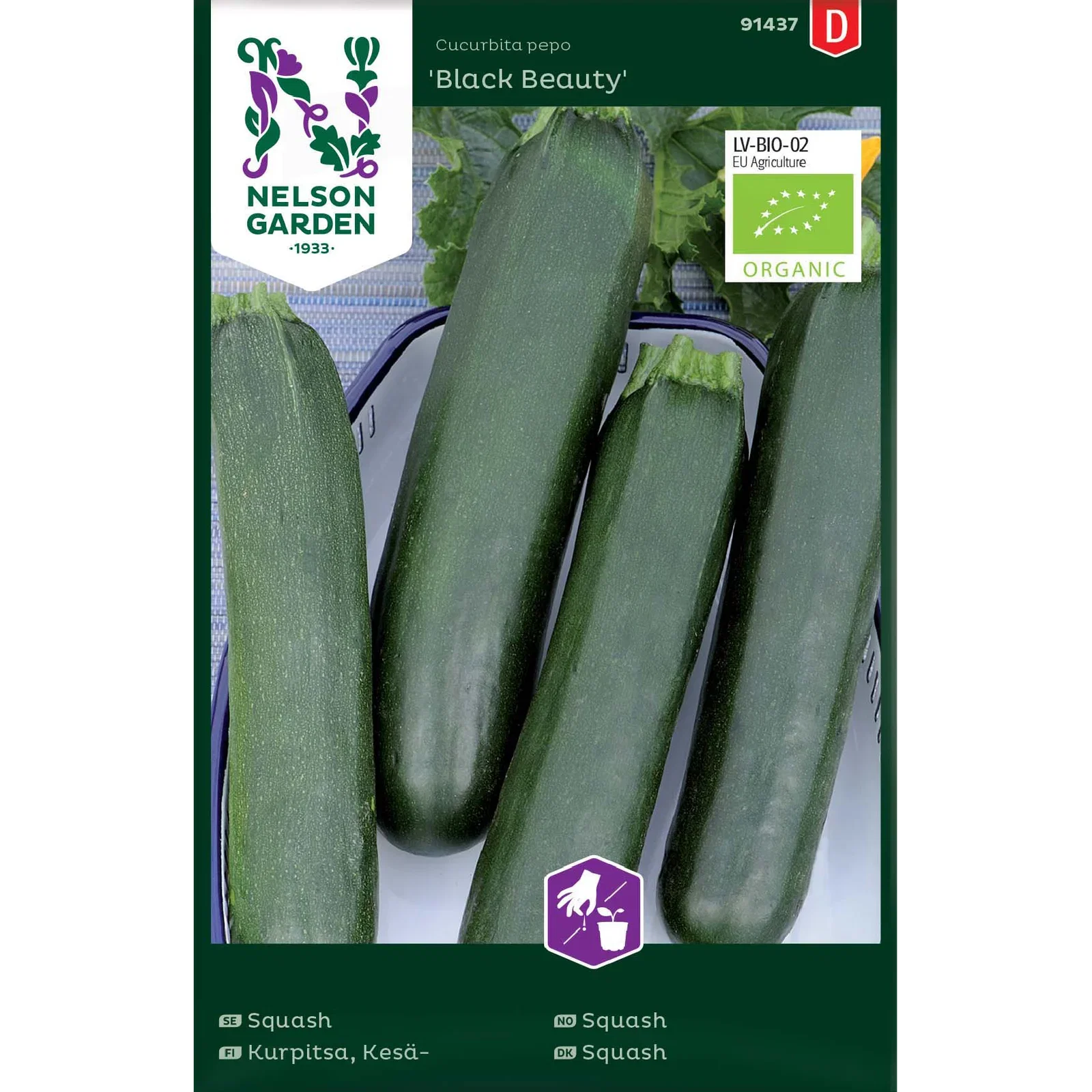 Cucurbita pepo 'Black Beauty' Squash 'Black Beauty'