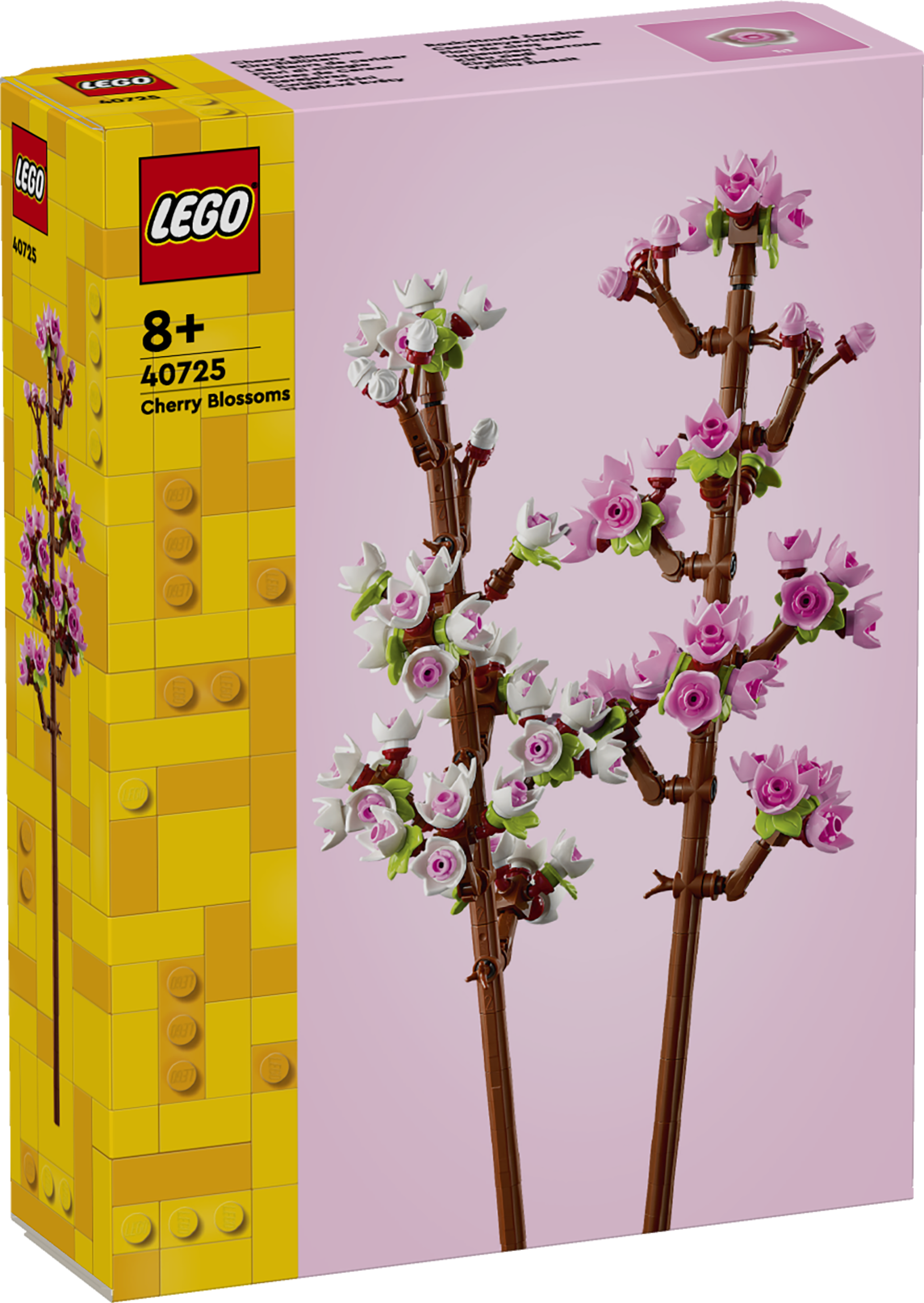 Flores de cerejeira 40725