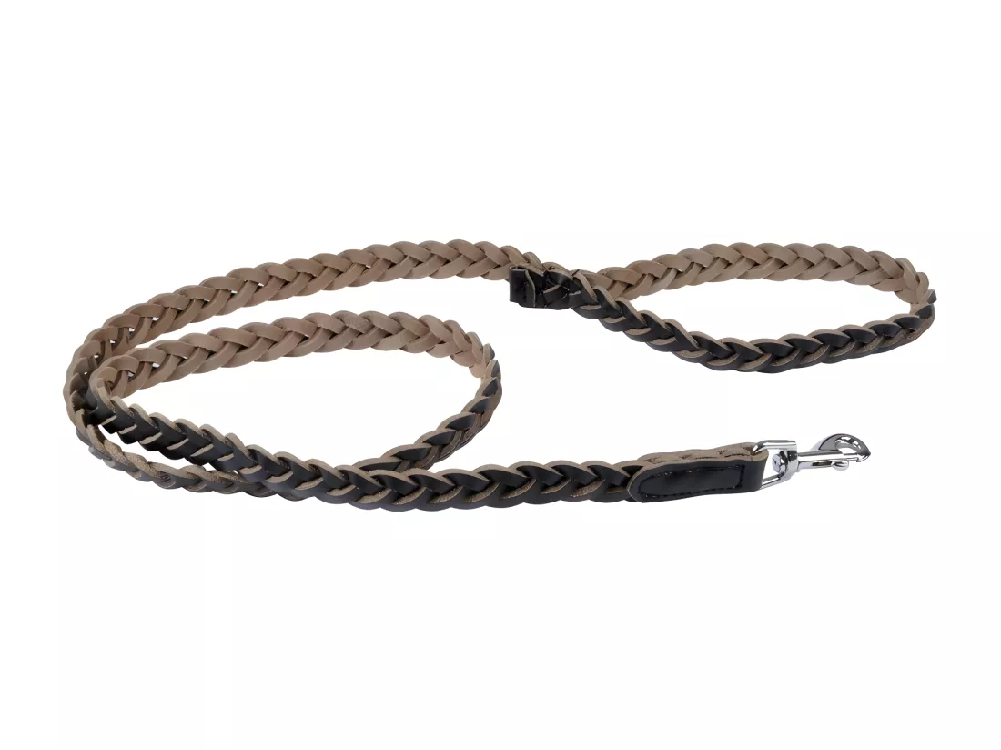 Laisse en cuir tressé pour chien - Noir - L 120 cm