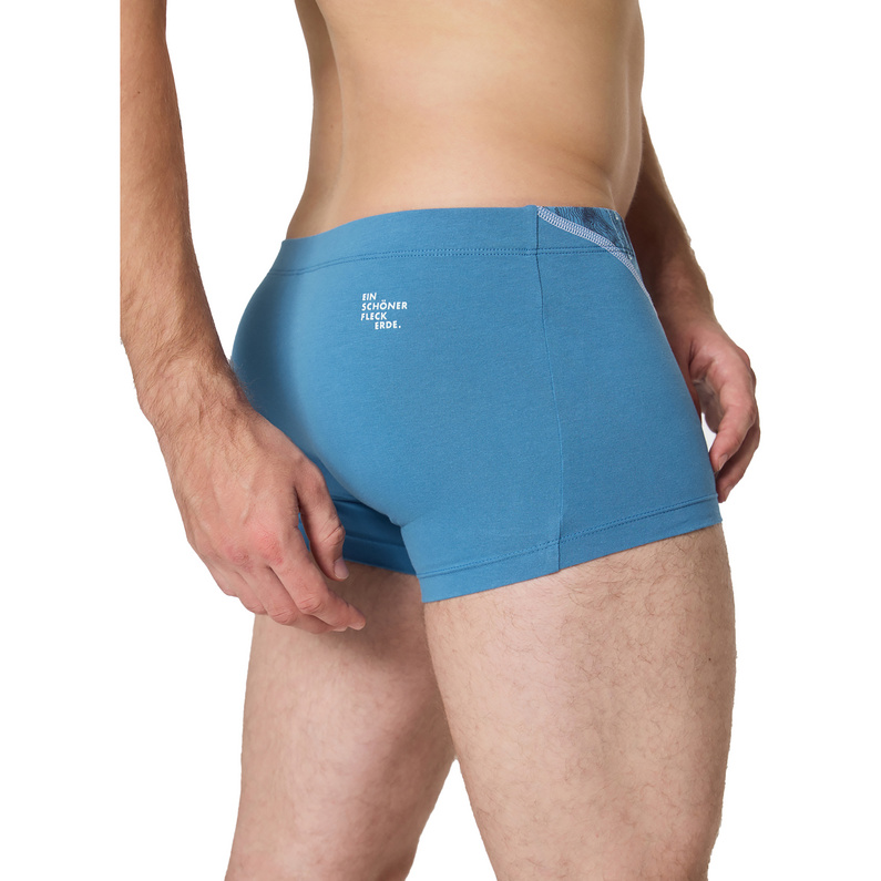 Ein schöner Fleck Erde Herren Spielmann Boxer