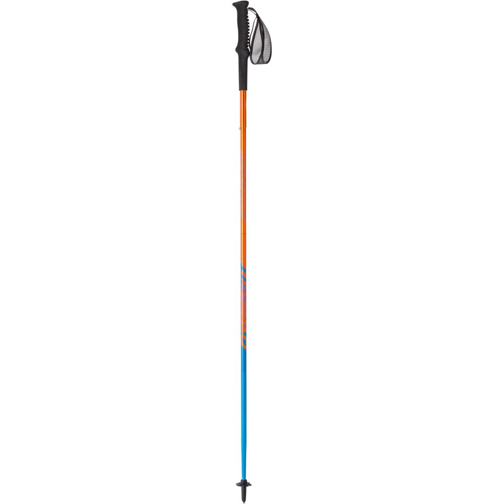 Dynafit Vert Trailrunning Stöcke general lee methyl blue