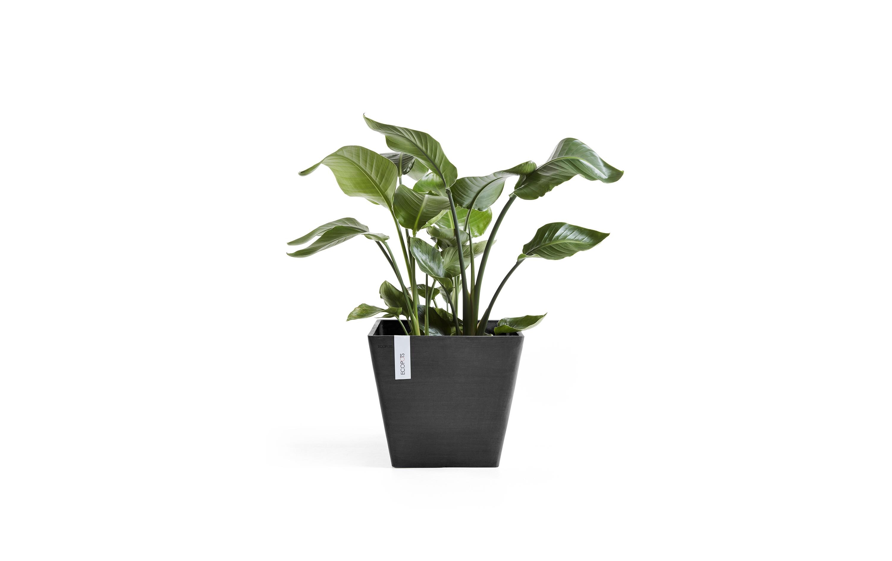 Pflanzentopf Rotterdam 40 DunkelgrauBlumentopf