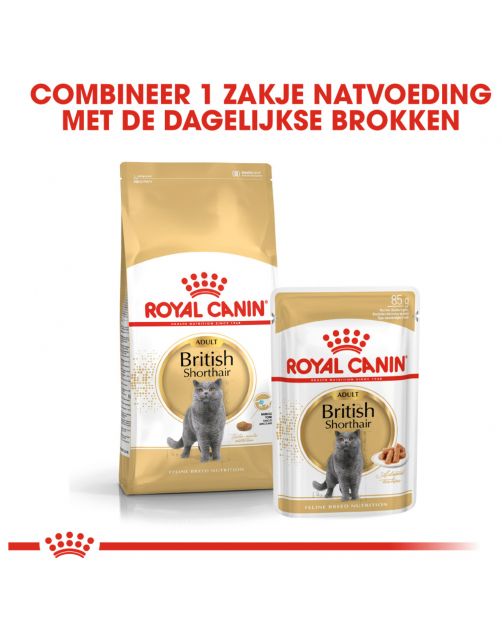 Royal Canin British Shorthair Adult Natvoer - Kattenvoer - 85 g