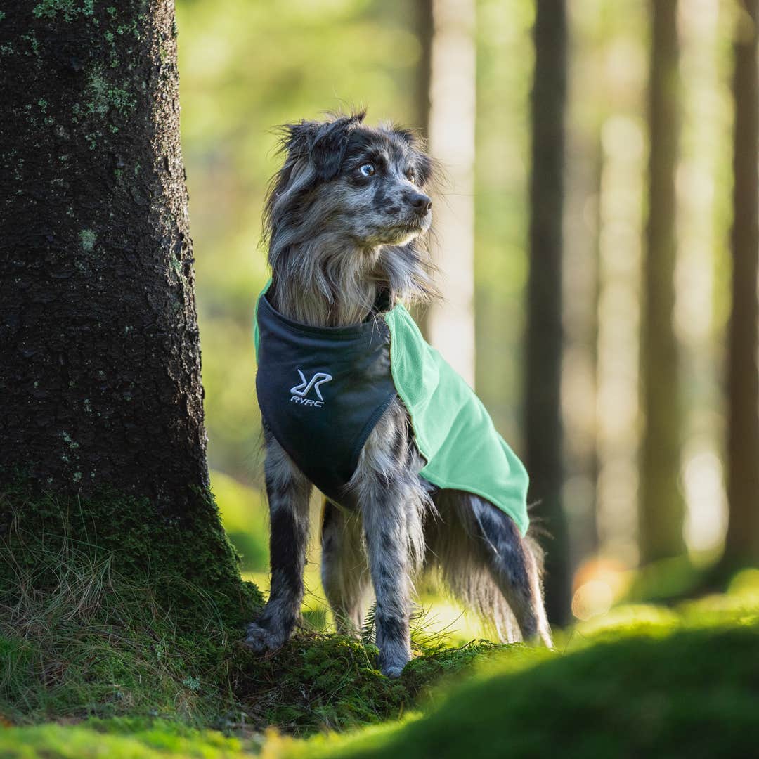 Trekker Fleece Hund Malachite Green