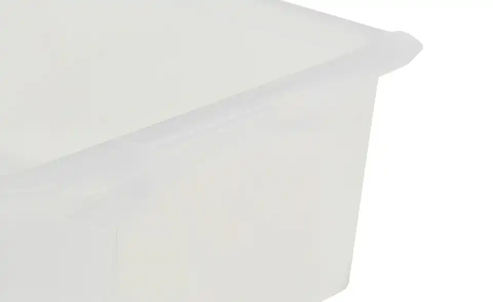 Rotho Aufbewahrungsbox 18,3 cm