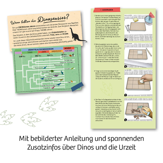 Nachtleuchtender T-REX - Mitbring-Experimente