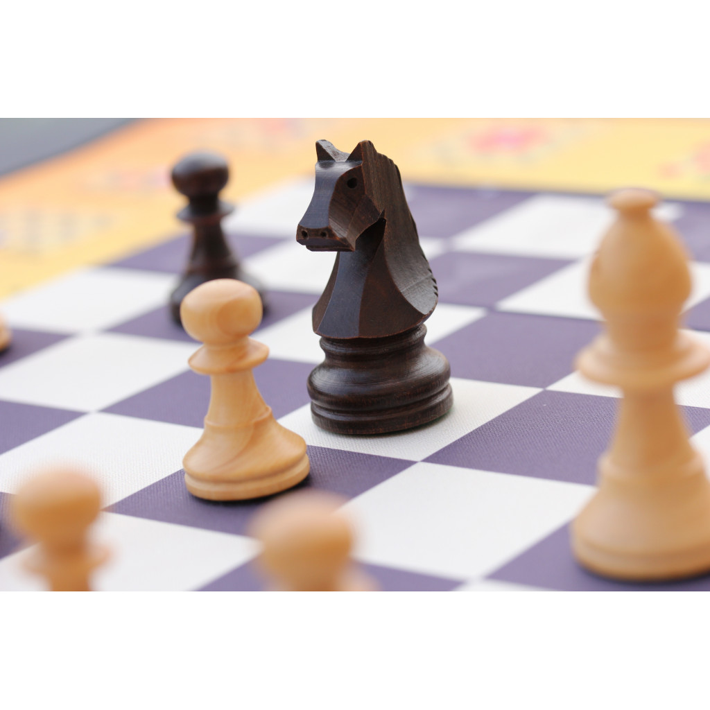 Tapis Échecs Pédagogique (50x50cm)