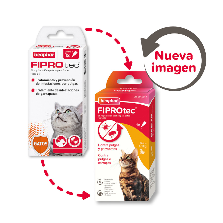 Pipetas antiparasitárias Beaphar Fiprotec para gatos