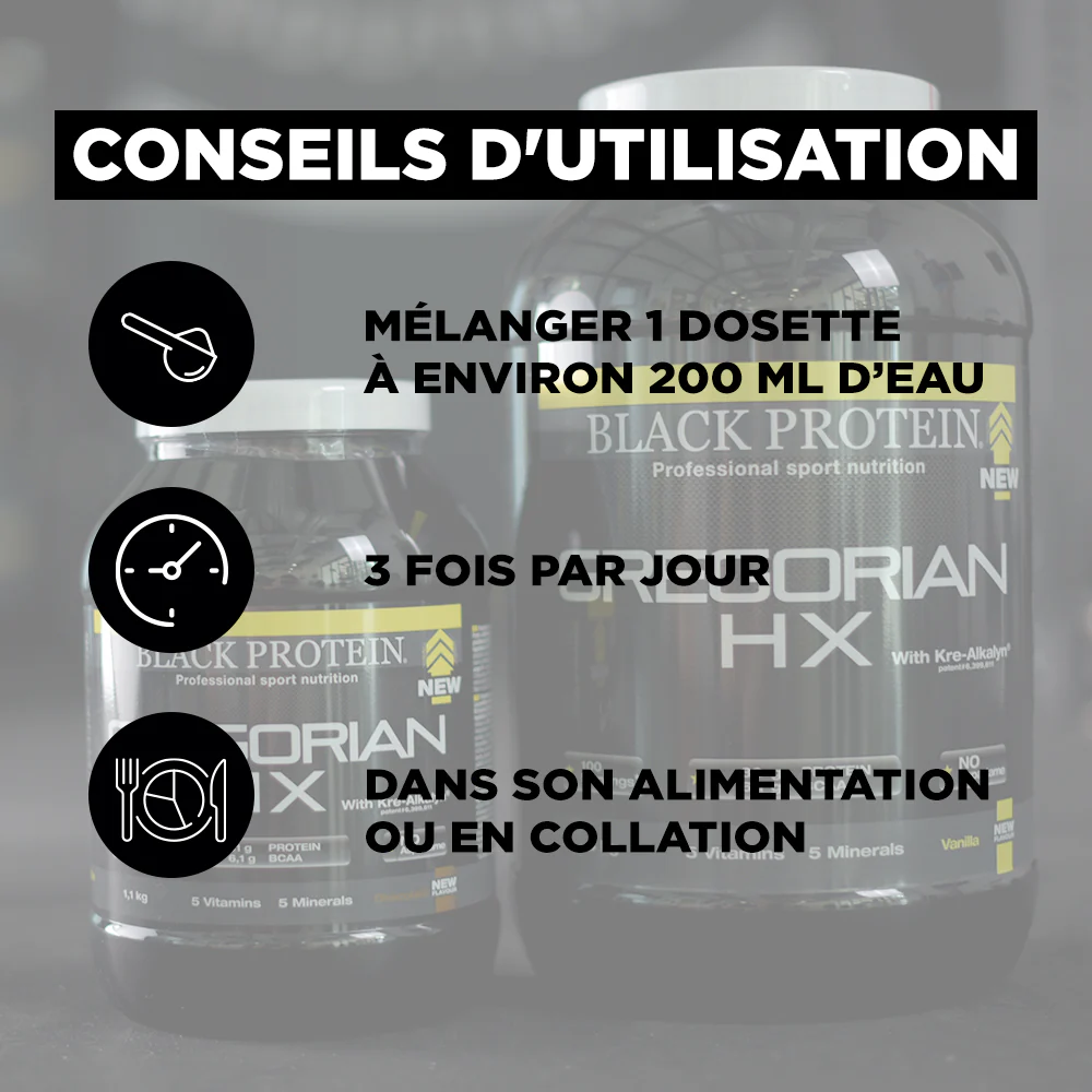 BLACK-PROTEIN Gregorian Hx / Gainer