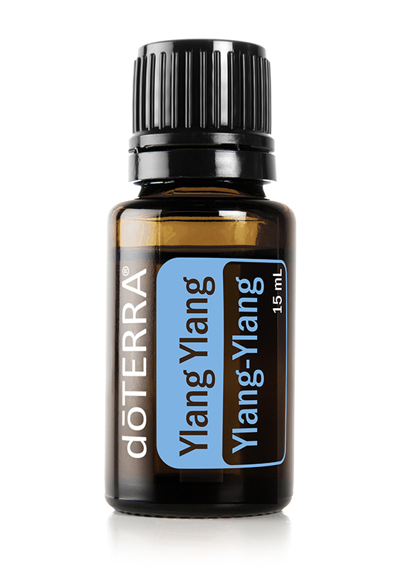 Huile de ylang ylang  Cananga odorata