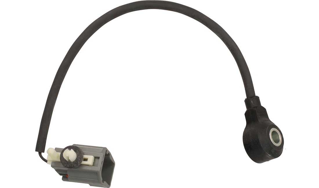 Bankesensor