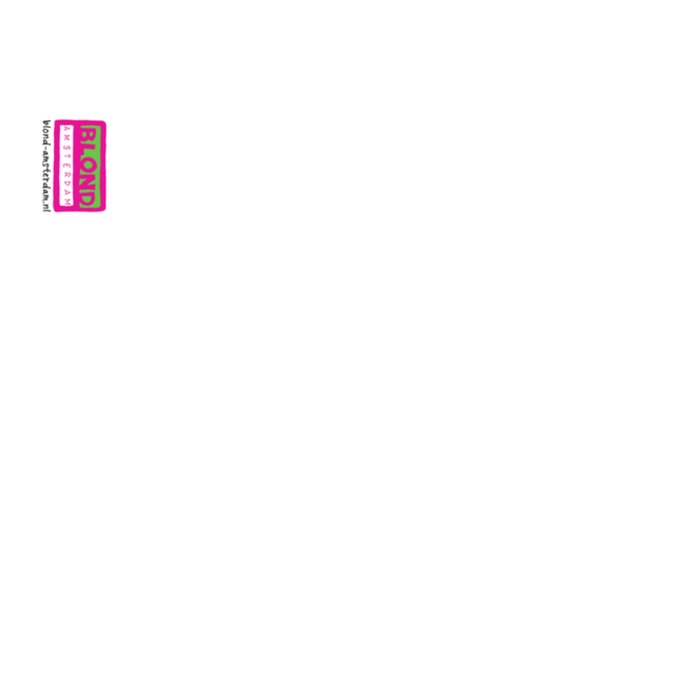 Ballonnen in de lucht