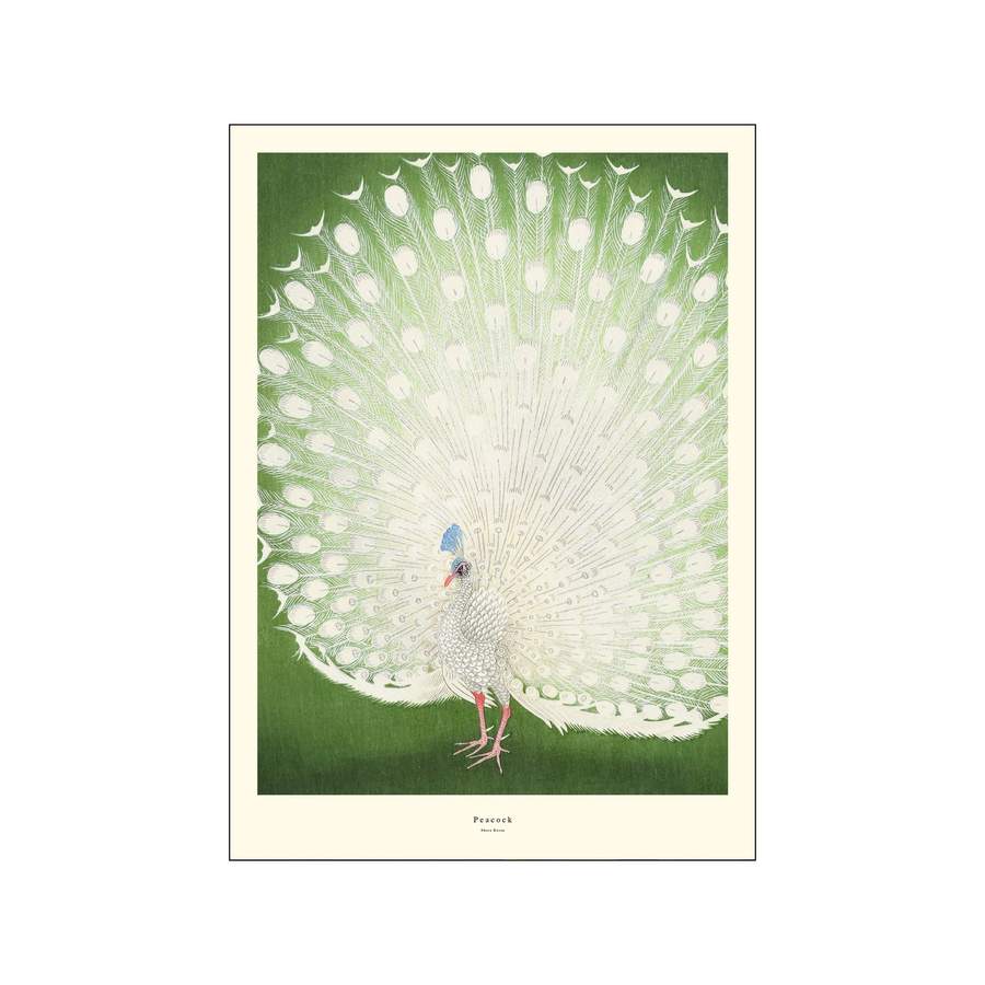 Poster & Frame  Peacock plakat