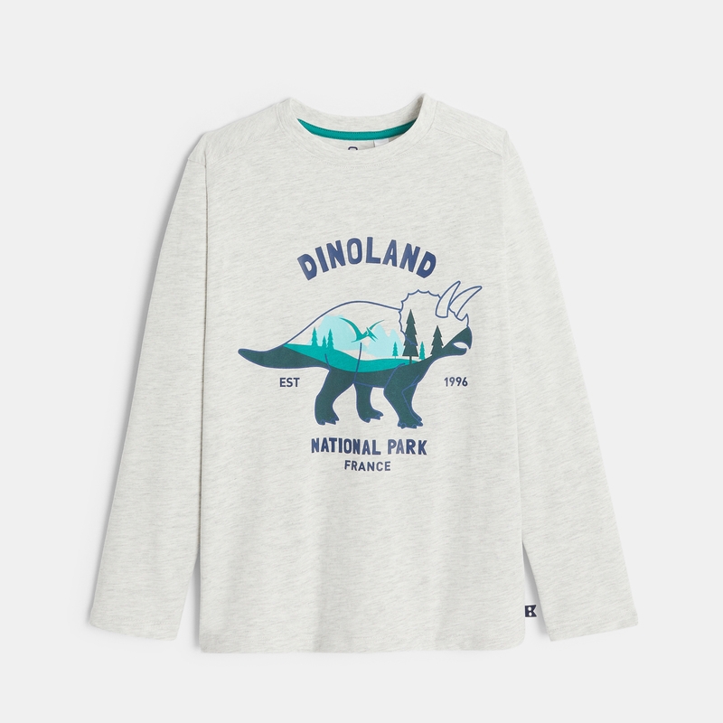 T-shirt manches longues motif dinosaure gris garçon