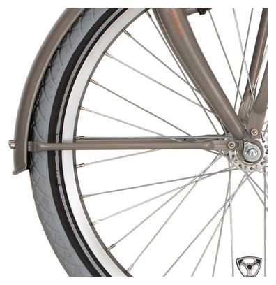 Alpina Fender stay set 20 Cargo vintage or mat