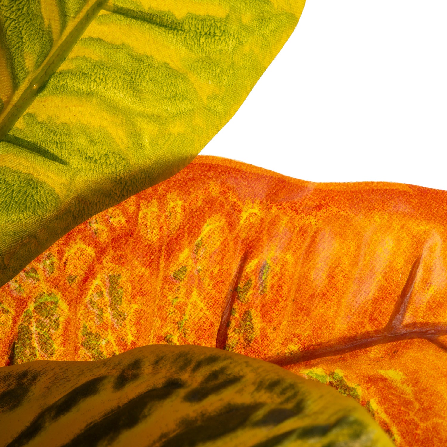 Intratuin kunstplant Croton multi 45 x 40 x 75 cm