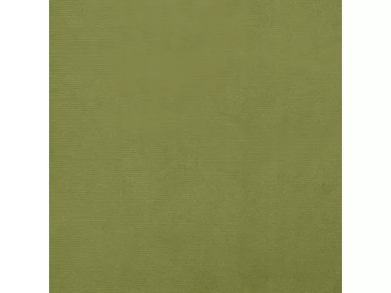 Repose-pied Vert clair 60x60x36 cm Velours