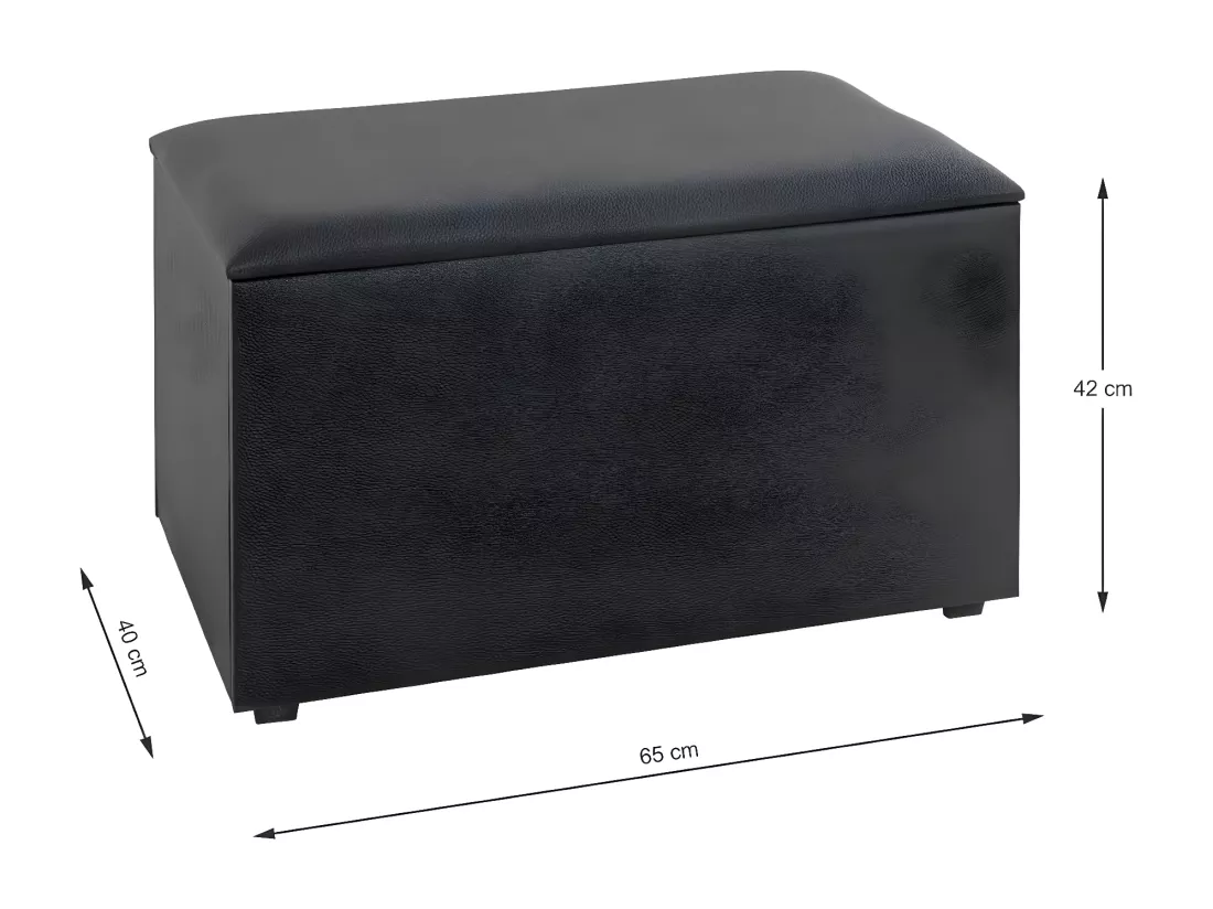 Coffre de Rangement Design 