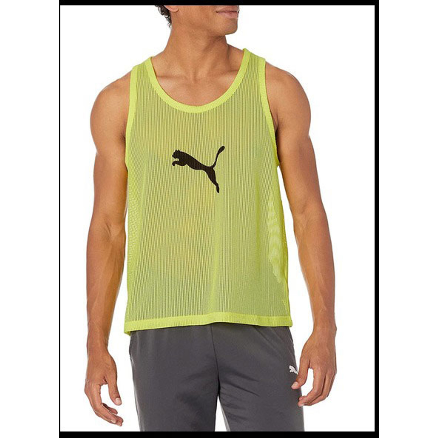 Puma Hesje