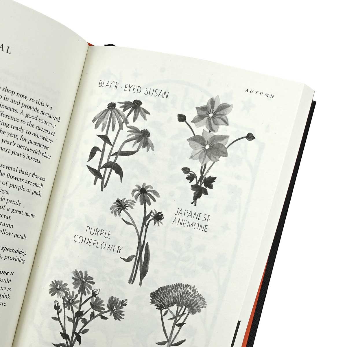 The Almanac 2024: THE ORIGINAL AND BESTSELLING GUIDE TO THE YEAR - Almanac (Hardback)