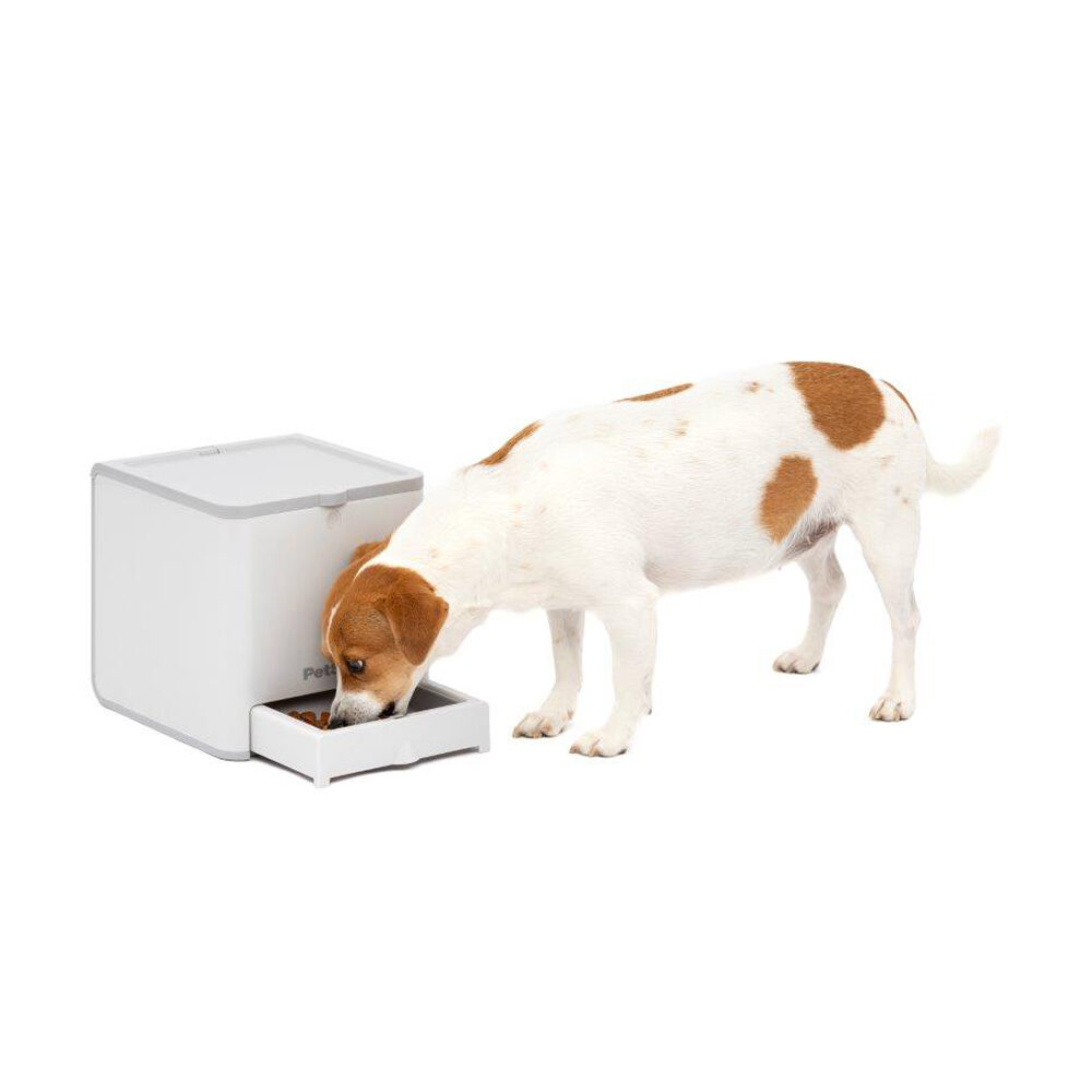 PetSafe Teach & Treat