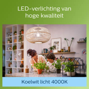 Philips LED kogel E27 40W wit mat 4000K niet dimbaar