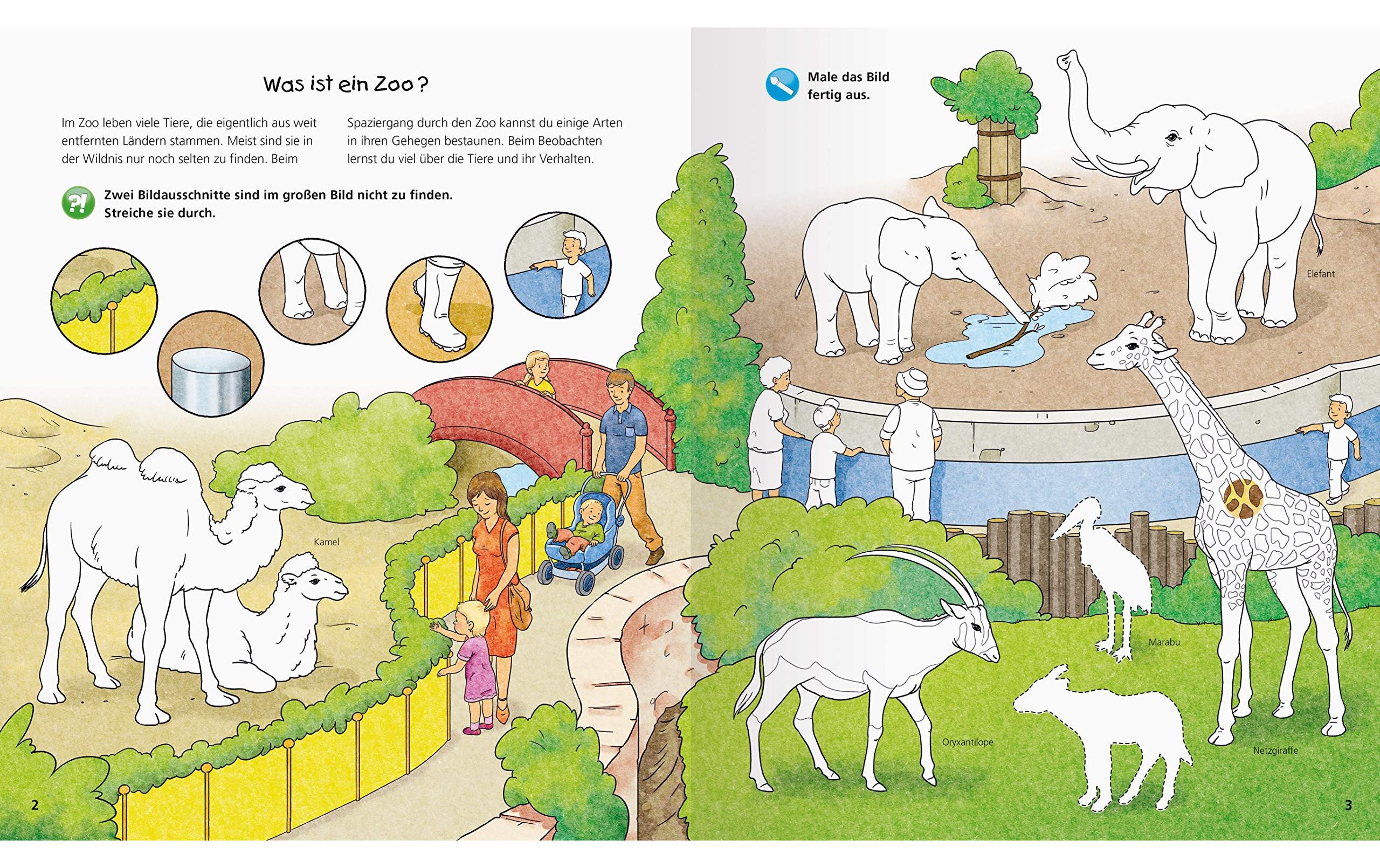 Kinder-Sachbuch WWW Aktiv-Heft: Im ZooKinder-Sachbuch