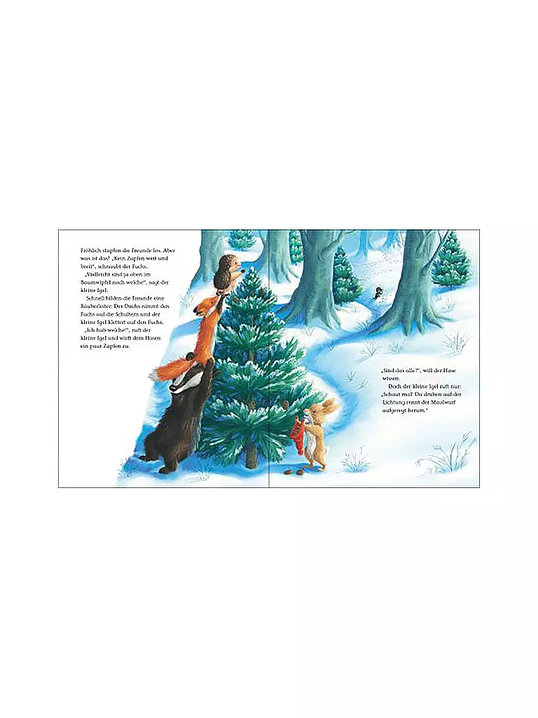 BRUNNEN VERLAG Buch - Der kleine Igel und die geheimnisvollen Spuren keine Farbe