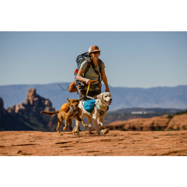 Sac à dos Approach Ruffwear