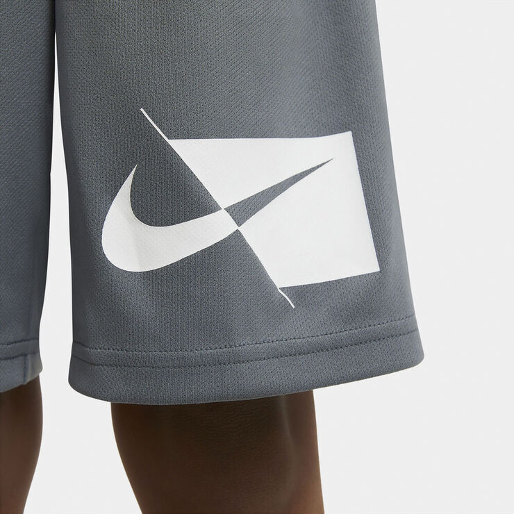 Nike Dri-FIT shorts Grå