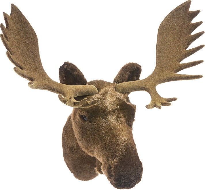Dierenschedel eland bruin 34 x 19 x 30 cm