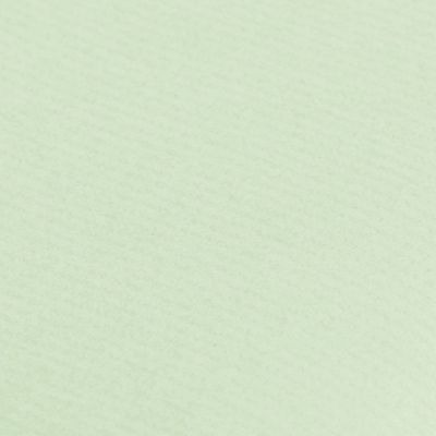 Clairefontaine - Papier cadeau kraft - 70 cm x 3 m - 65 g/m² - vert bourgeon