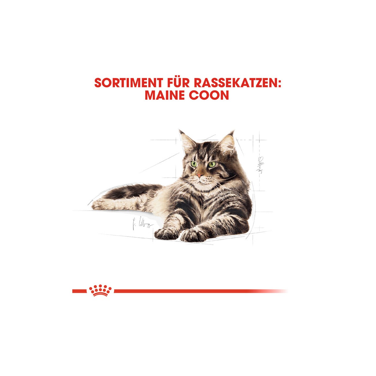 ROYAL CANIN Maine Coon Adult 400 g