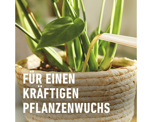 Compo biologische groene planten- en palmenmeststof, 500 ml minerale vloeibare meststof.