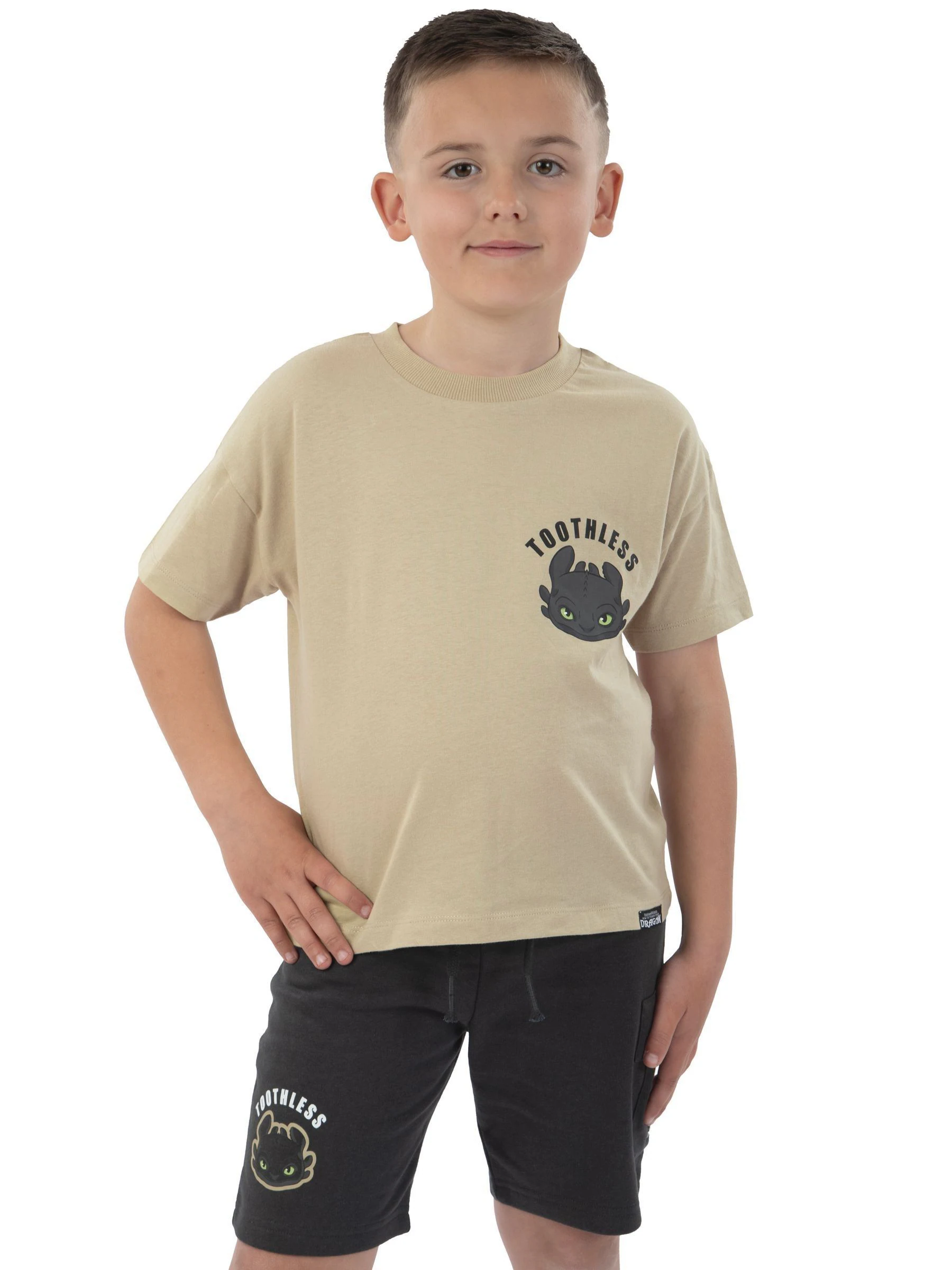 Character How To Train Your Dragon Print T-Shirt And Shorts Set