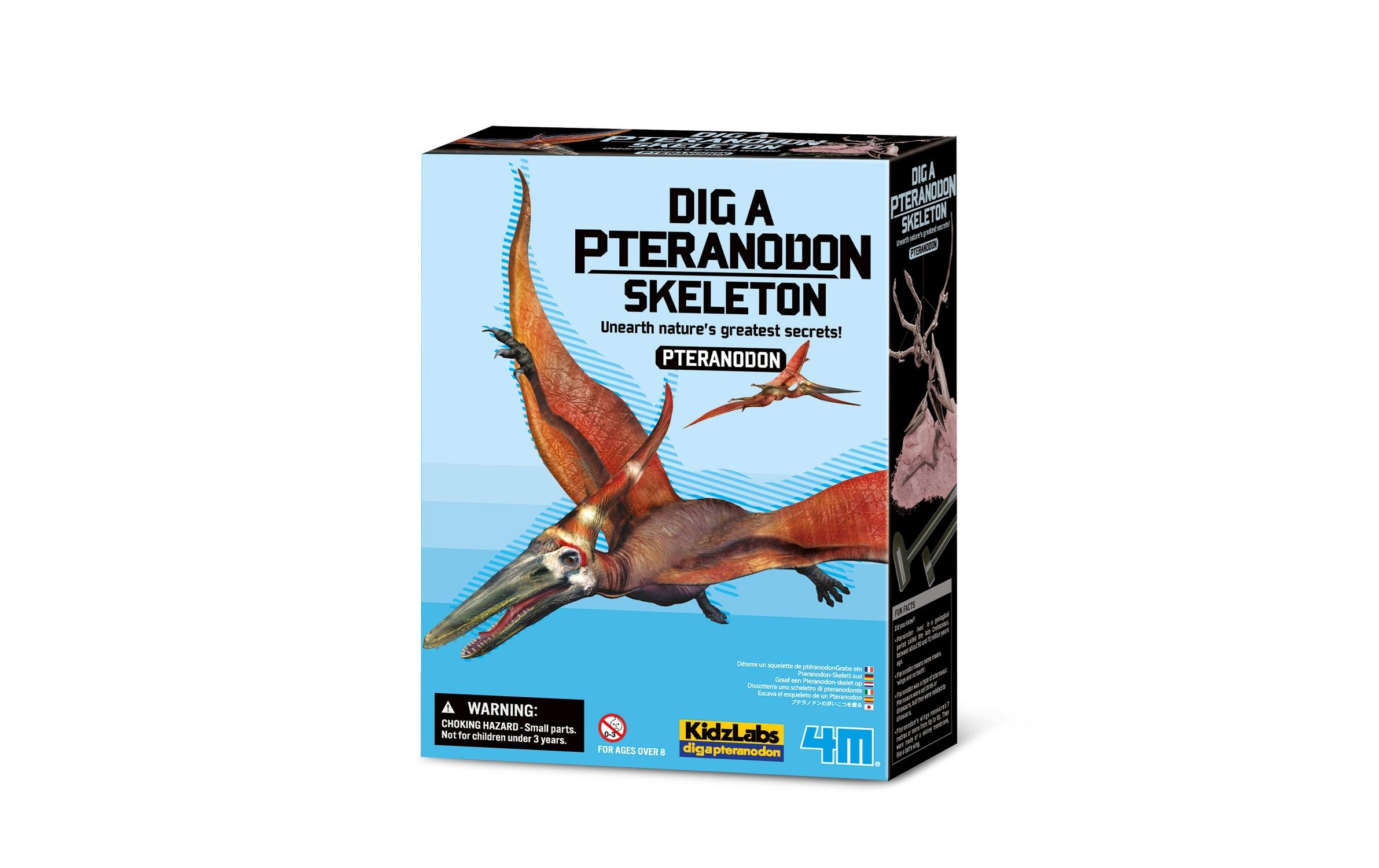 Dino Ausgrabungsset – PteranodonDinosaurier-Spielset