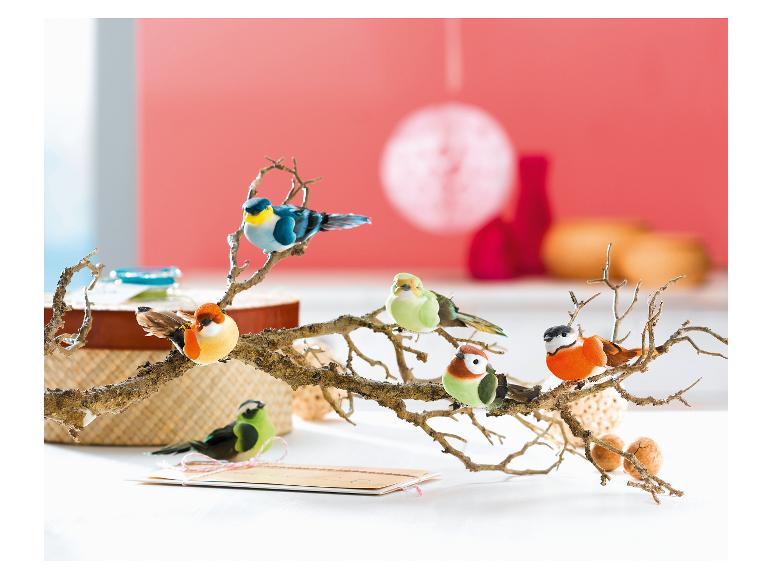 6 Decoratieklemmen