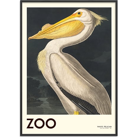 The Zoo Collection Pelican - 70x100 cm