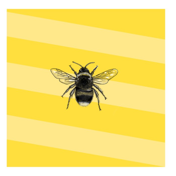 Greetz | Beterschapskaart | bijtjes
