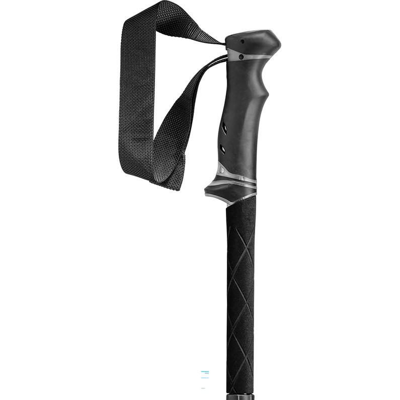 Leki Legacy FX TA Stöcke