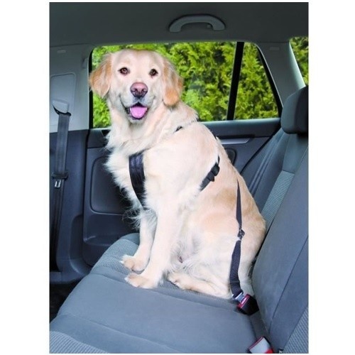 Arnês de carro Trixie para cães