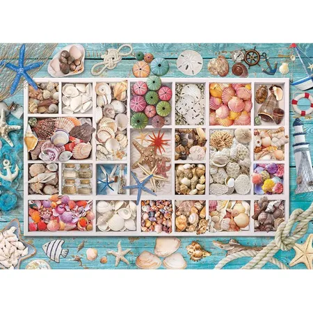 Eurographics Muschelsammlung, 1000 Teile