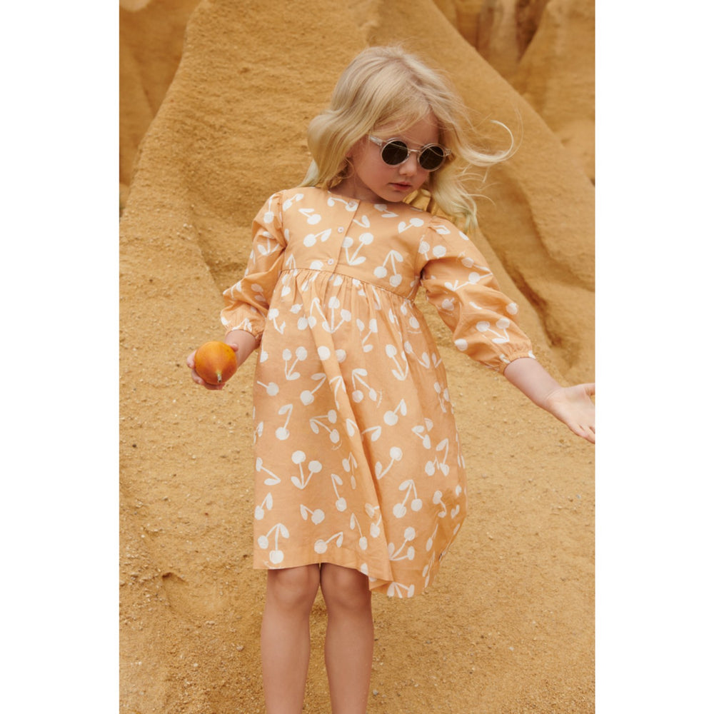 Køb LIEWOOD Cherry Blossom / Light Apricot Ariana Printed Kjole